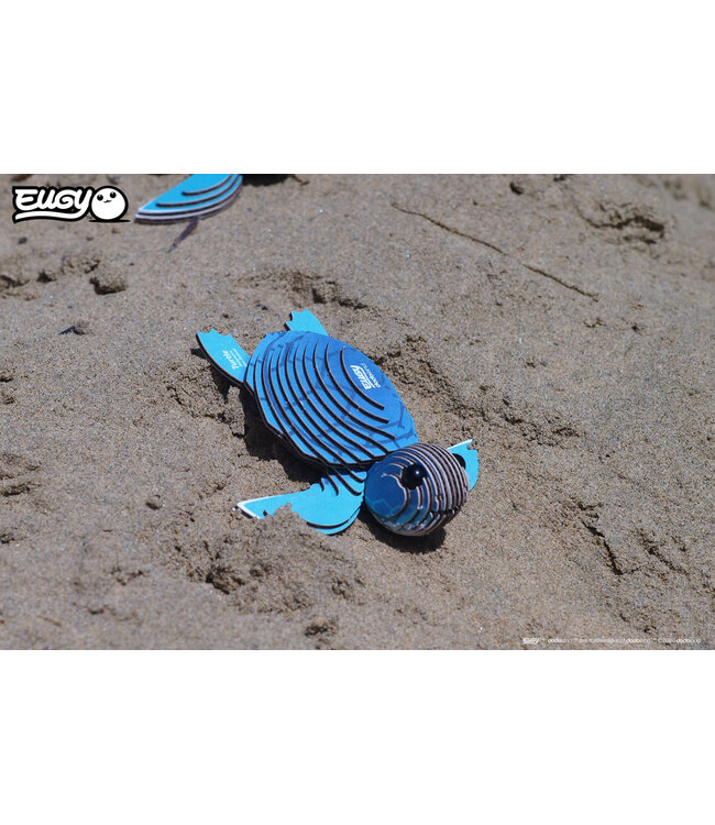 Eugy | 3D Cardboard Model Kit | Sea Life | Zeeschildpad | 6+