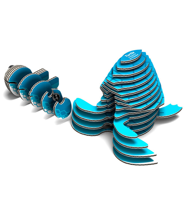 Eugy | 3D Cardboard Model Kit | Sea Life | Zeeschildpad | 6+