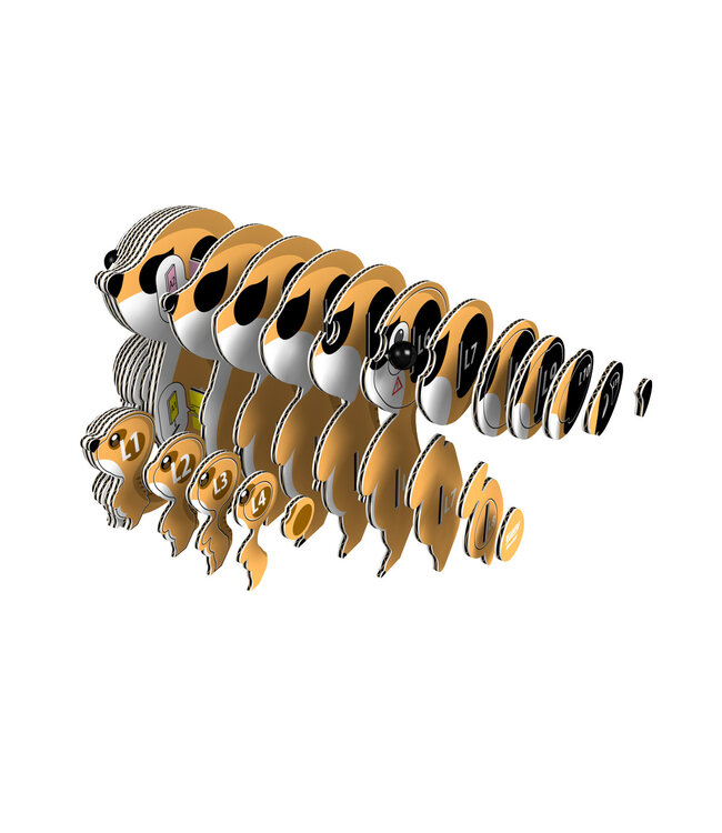 Eugy | 3D Cardboard Model Kit | Wild Life | Stokstaartje | 6+