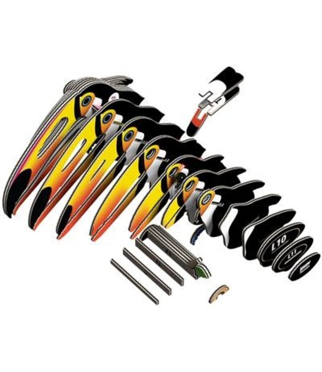 Eugy | 3D Cardboard Model Kit | Vogel | Toekan | 6+