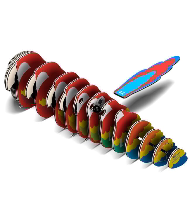 Eugy | 3D Cardboard Model Kit | Bird Life | Papegaai | 6+