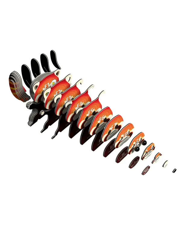 Eugy | 3D Cardboard Model Kit | Forest Life | Red Panda | 6+