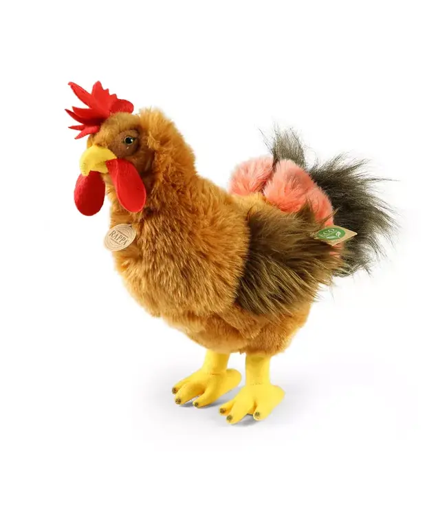 Rappa Plush Toy | Pluche haan 33 cm | 0+