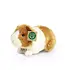 Rappa Rappa Plush Toy | Pluche cavia 20 cm | 0+
