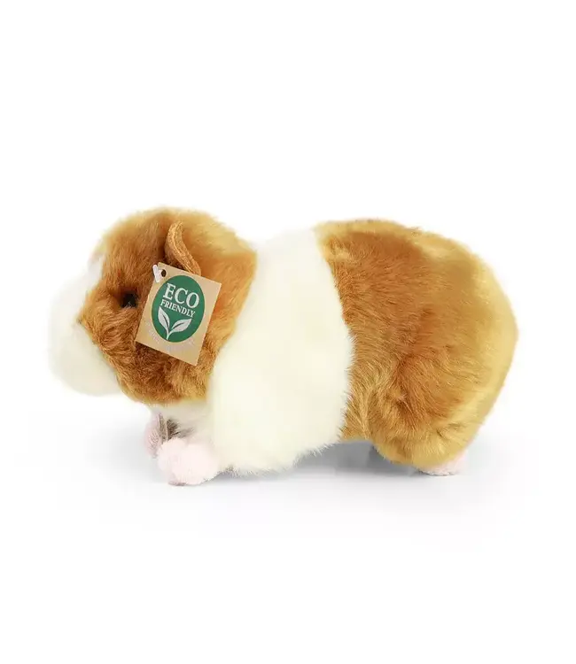 Rappa Plush Toy | Pluche cavia 20 cm | 0+