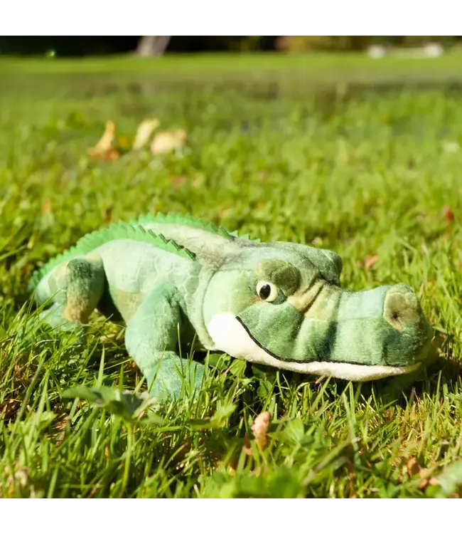 Rappa Plush Toy | Krokodil | 34 cm | 0+