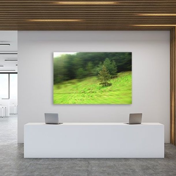 Akustikbild "Bäumchen" - limitierte Kunst-Edition