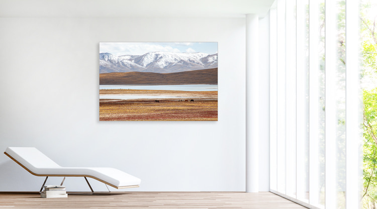 Leinwand "Roaming" ohne Dämmung-