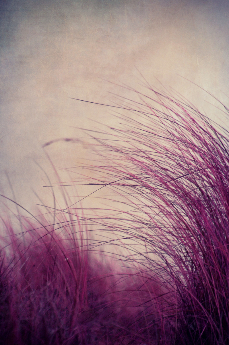 Akustik Raumteiler "Mood"-thumb-2