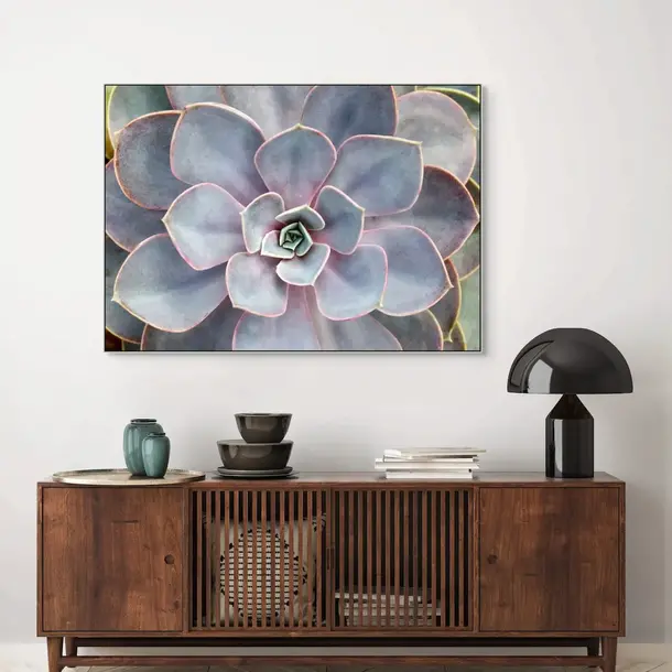 Akustikbild "Succulent Nude"
