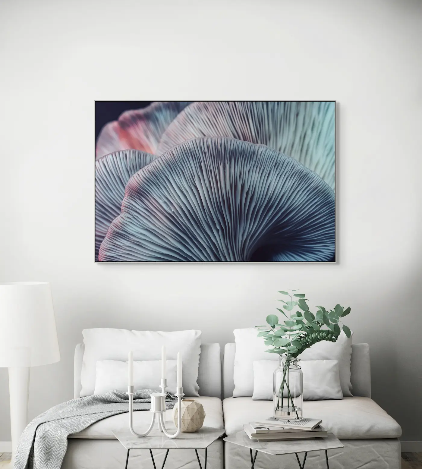 Akustikbild "Makrozauber Pilze"-