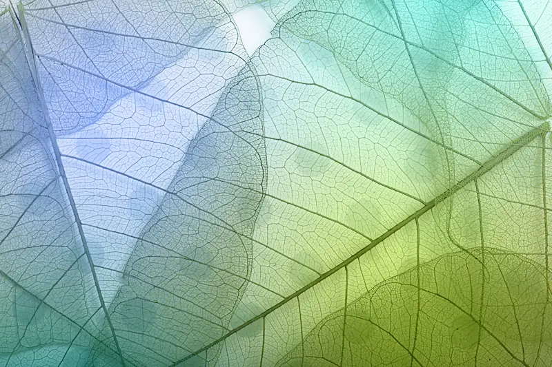 Akustikbild "Naturakzente"-thumb-2