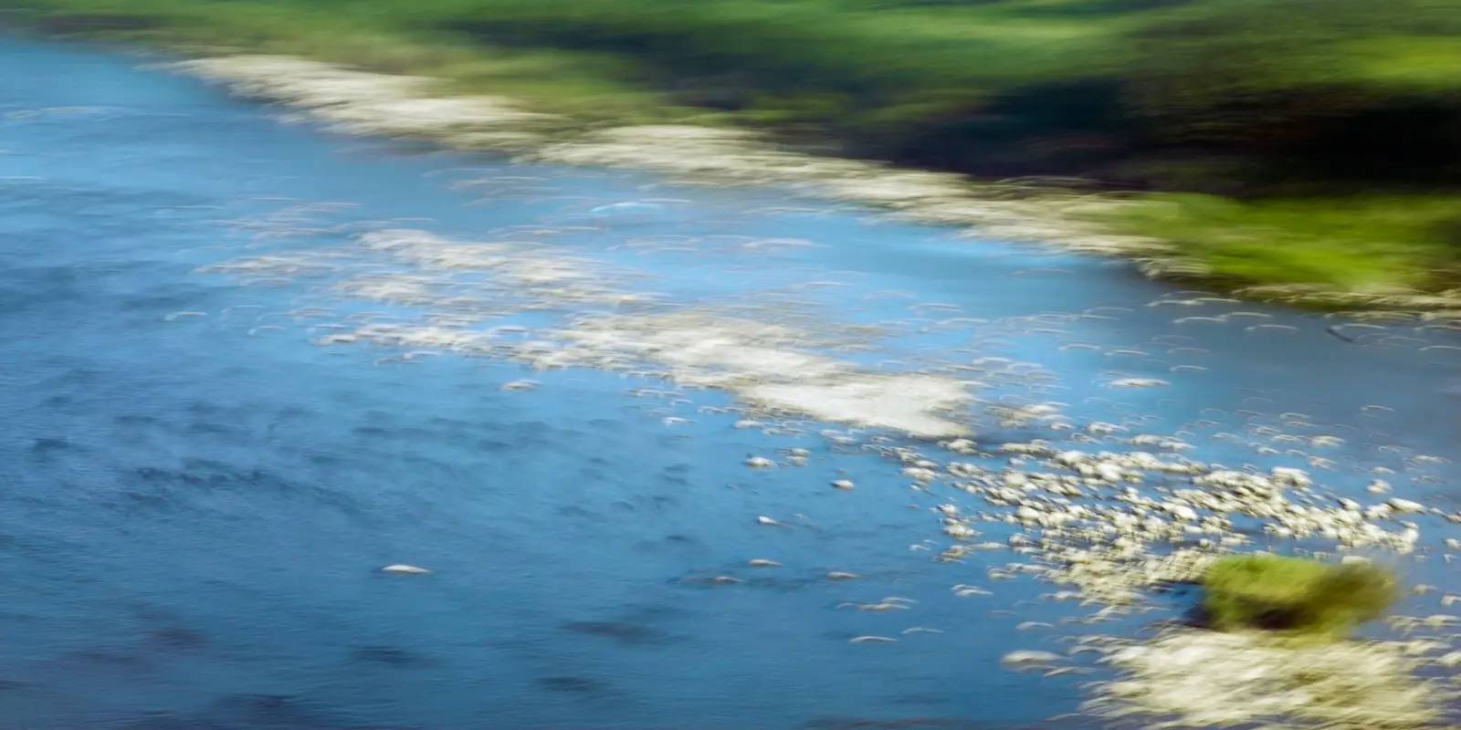 Bis zu 100% Schallabsorption -1