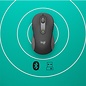 Logitech Signature M650 muis Rechtshandig RF-draadloos + Bluetooth Optisch 2000 DPI