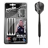 Target Dardos Power Storm Phil Taylor 24 g Punta de Acero