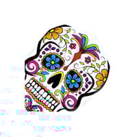 Plumas Harrows Quadro Grafiti Skull