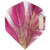 Plumas Loxley Feather Purple & Oro NO2