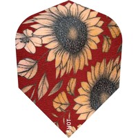 Plumas Shot Sunflower Std.6