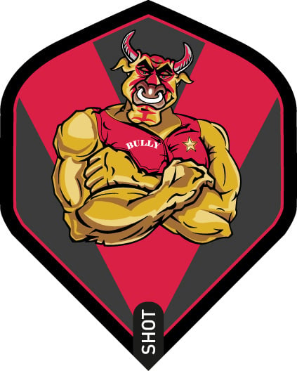 BULL'S Challenger Michael Unterbuchner 90% Freccette Soft - Foto 7