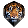 Dartshopper Plumas Dartshopper Tiger NO2