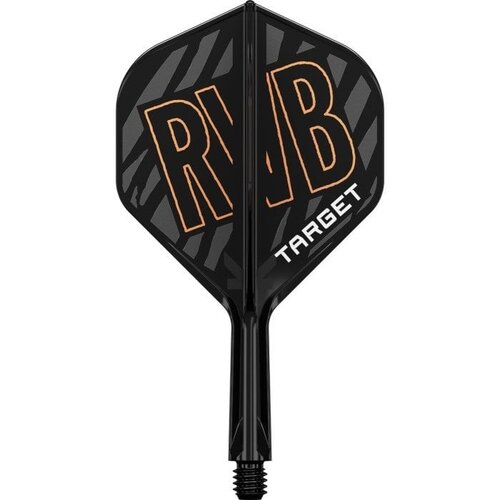Target Plumas Target K-Flex Raymond van Barneveld NO2