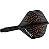 Target Plumas Target K-Flex Raymond van Barneveld NO2