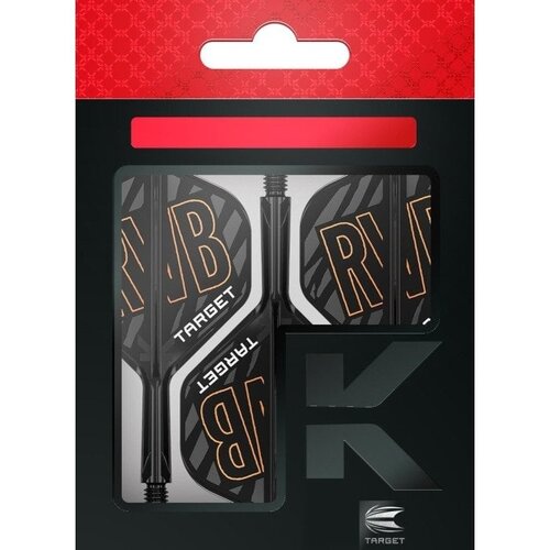 Target Plumas Target K-Flex Raymond van Barneveld NO2