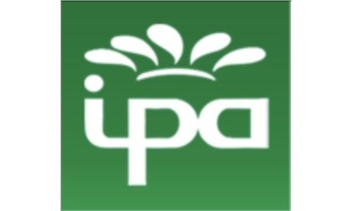 IPA