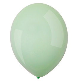 Everts latex macaron mint 11 inch 50 stuks