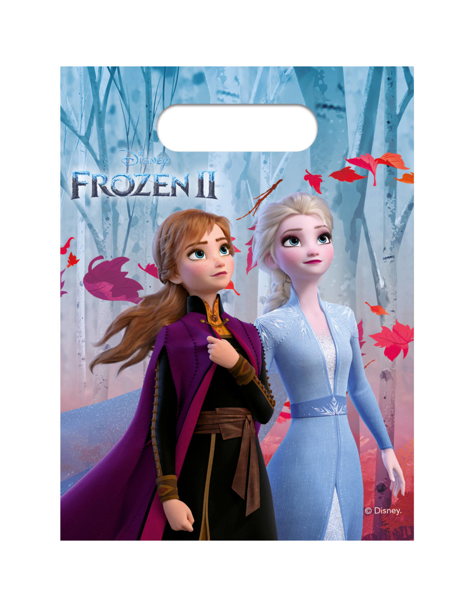 Disney Frozen 2 uitdeelzakjes 6 stuks