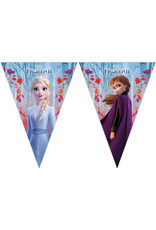 Disney frozen vlaggenlijn 2.3 meter