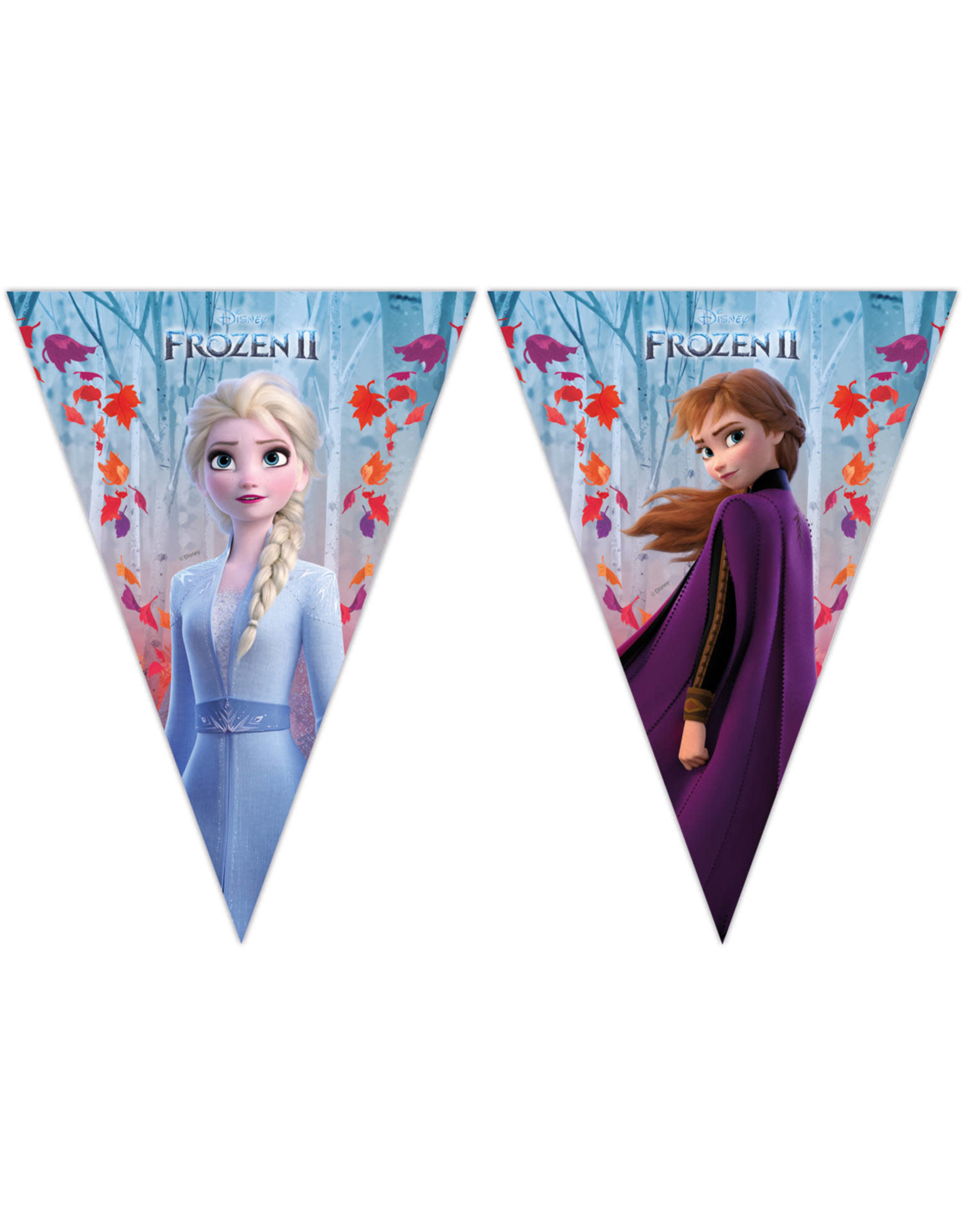 Disney frozen vlaggenlijn 2.3 meter