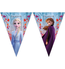 Disney frozen vlaggenlijn 2.3 meter