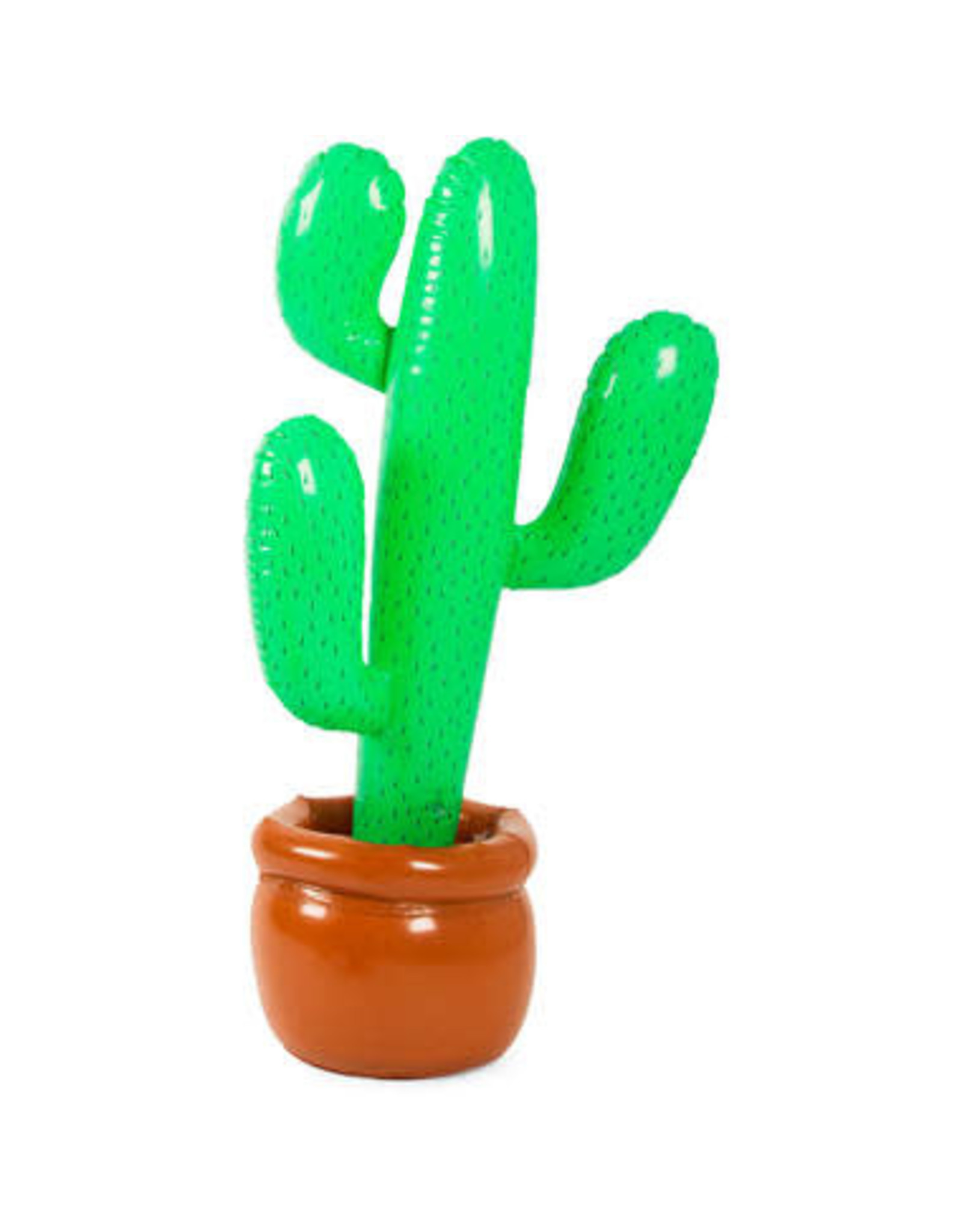 Cactus opblaasbaar in pot