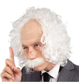 Boland pruik professor (inclusief snor en bril)