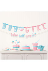 Letterslinger Boy/Girl what will you be 2-delig