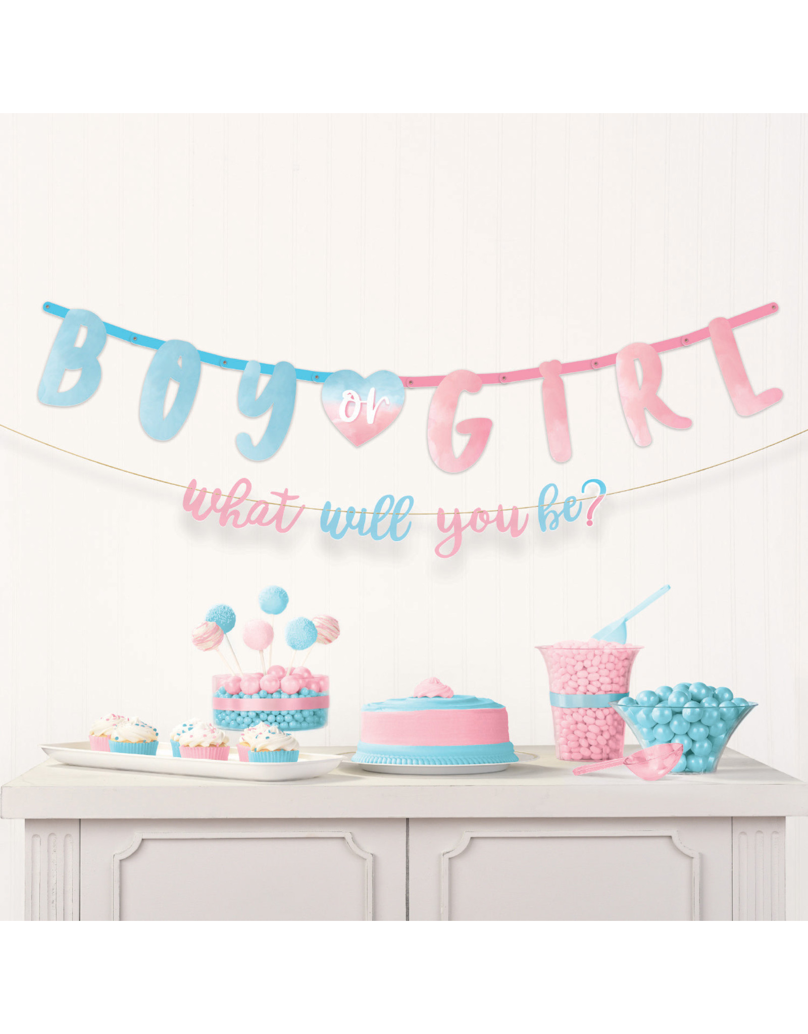 Letterslinger Boy/Girl what will you be 2-delig