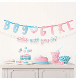 Letterslinger Boy/Girl what will you be 2-delig