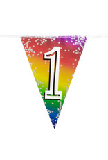 Vlaggenlijn metallic rainbow 1 jaar 6 meter