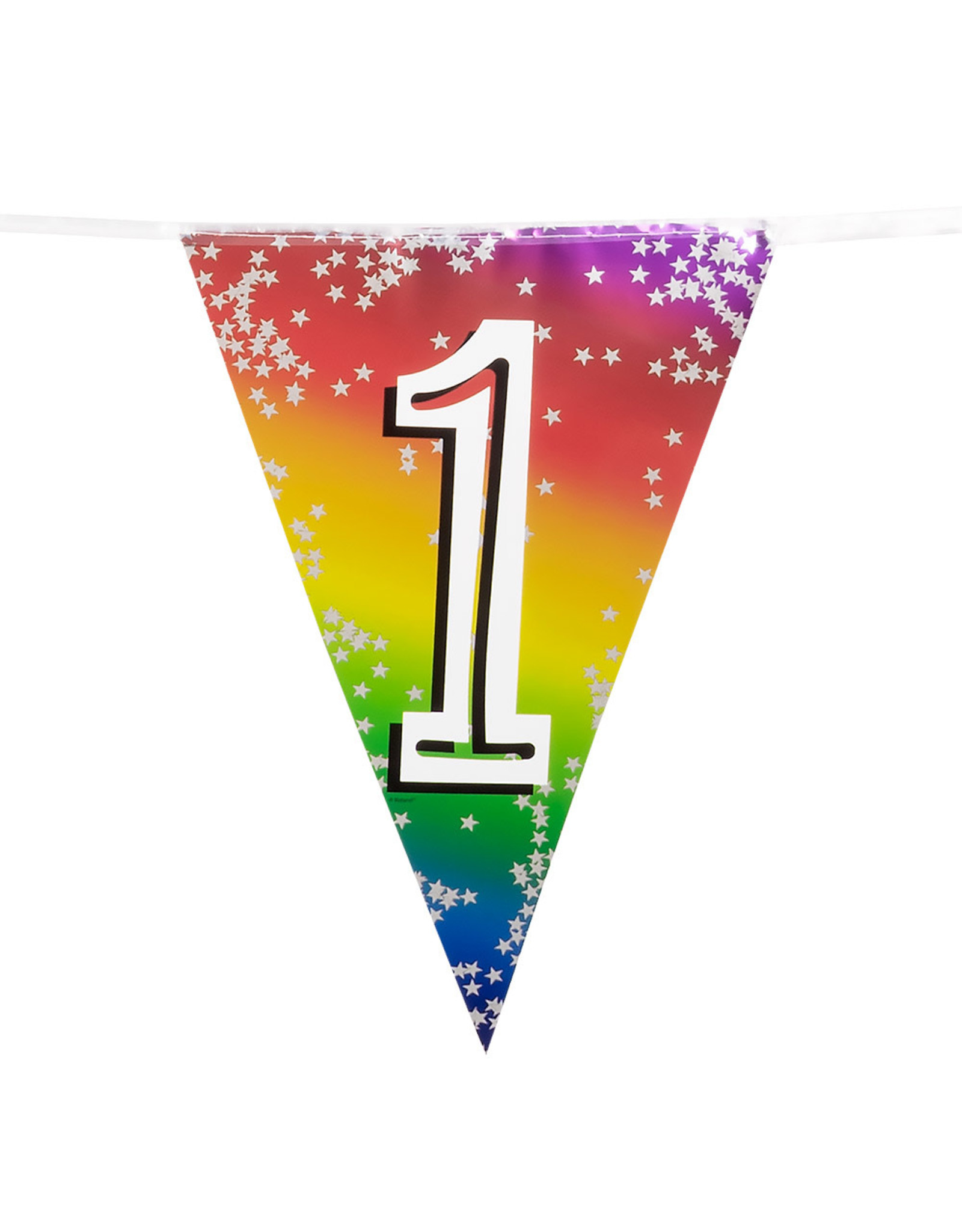 Vlaggenlijn metallic rainbow 1 jaar 6 meter