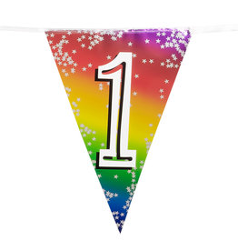 Vlaggenlijn metallic rainbow 1 jaar 6 meter