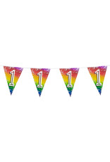 Vlaggenlijn metallic rainbow 1 jaar 6 meter