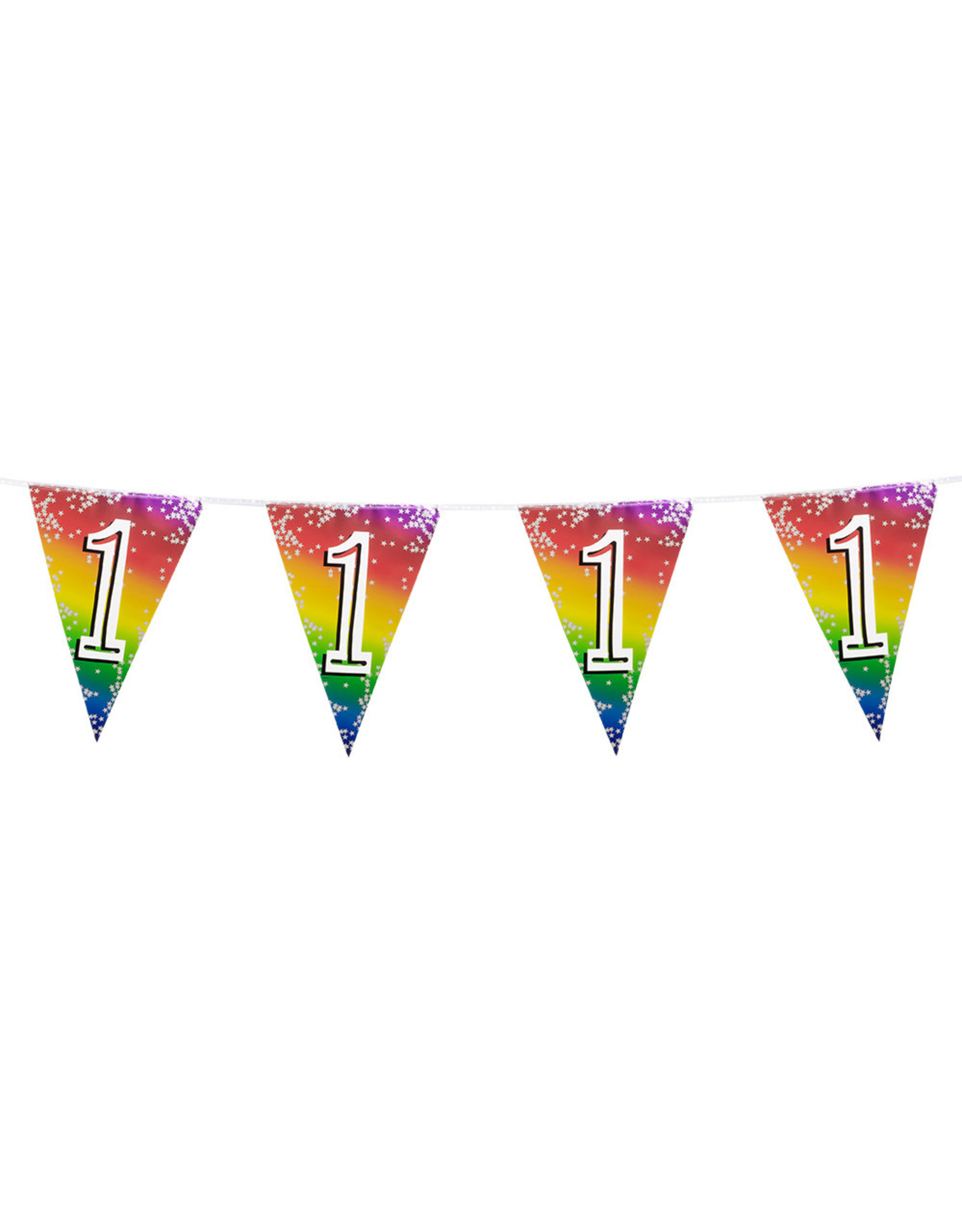 Vlaggenlijn metallic rainbow 1 jaar 6 meter