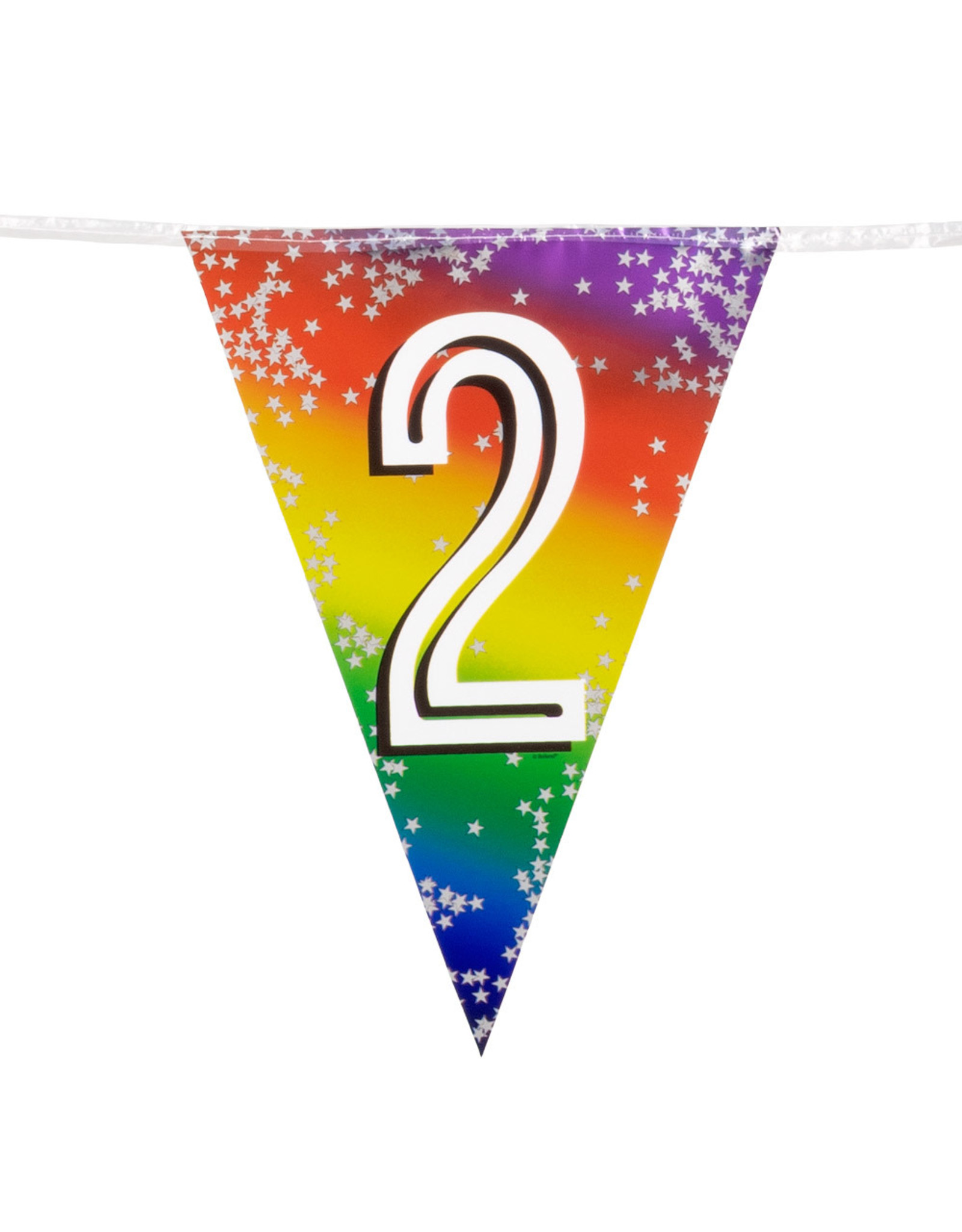 Vlaggenlijn metallic rainbow 2 jaar 6 meter