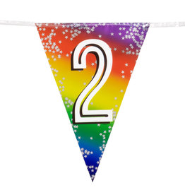Vlaggenlijn metallic rainbow 2 jaar 6 meter
