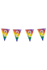 Vlaggenlijn metallic rainbow 2 jaar 6 meter