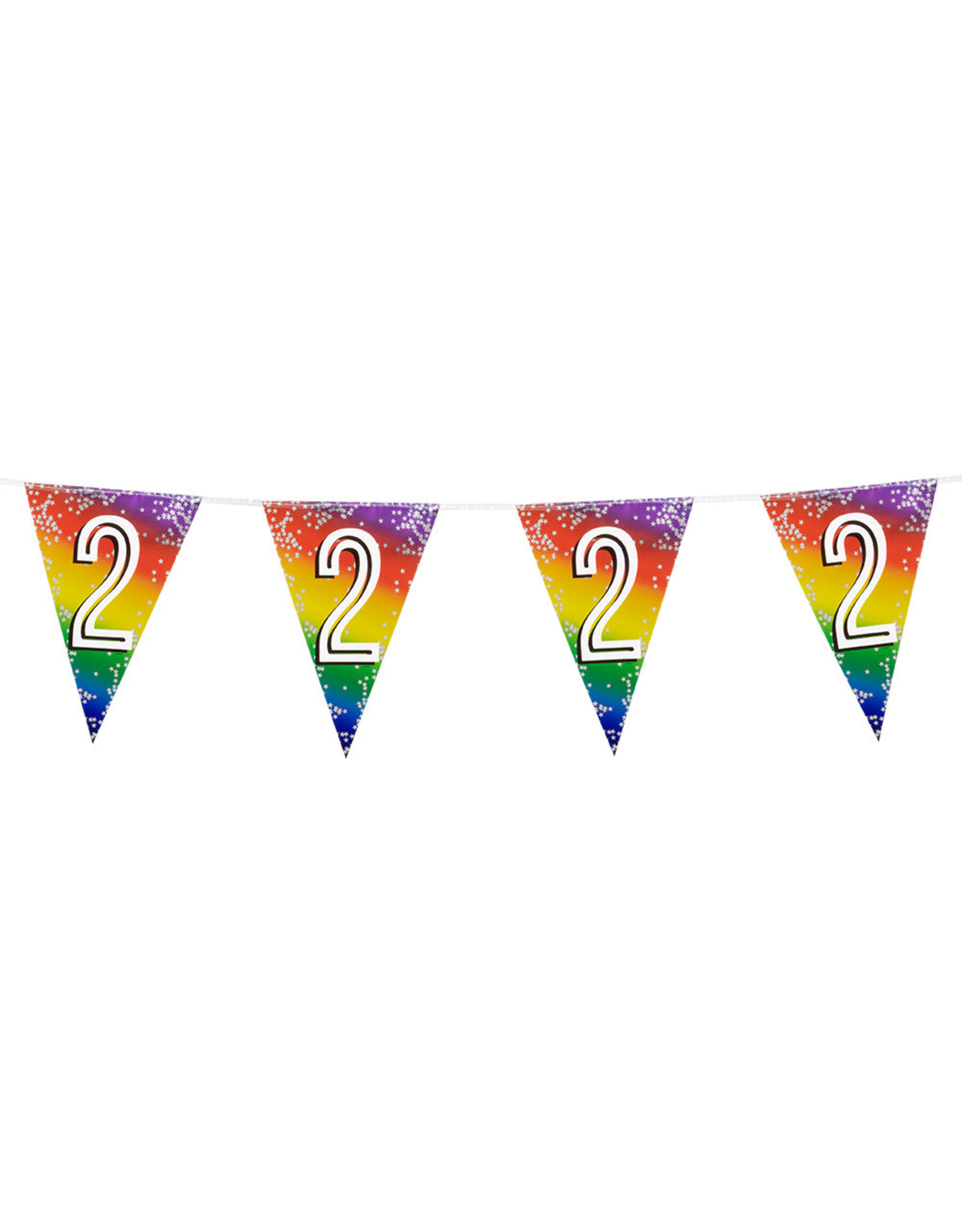 Vlaggenlijn metallic rainbow 2 jaar 6 meter