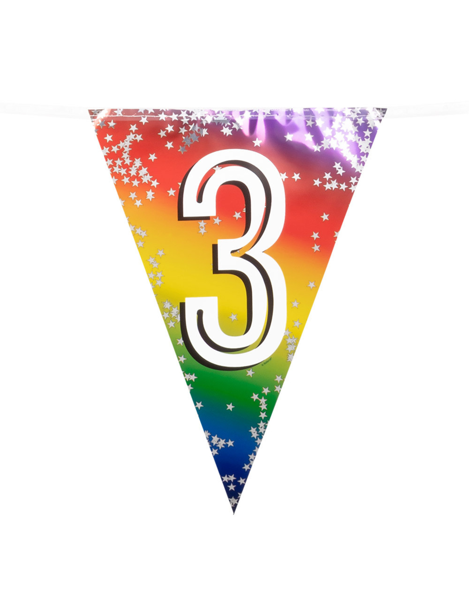 Vlaggenlijn metallic rainbow 3 jaar 6 meter