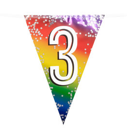 Vlaggenlijn metallic rainbow 3 jaar 6 meter