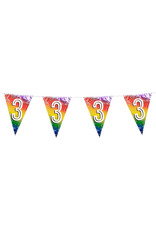 Vlaggenlijn metallic rainbow 3 jaar 6 meter